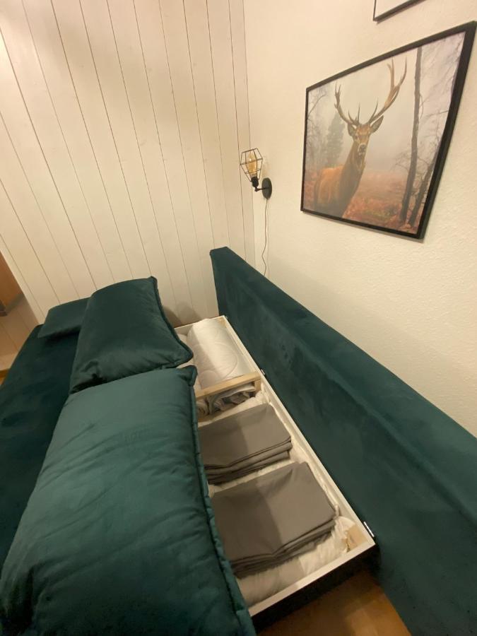 Am Wasserfall Mit Sauna & Top-lage Apartment Feldberg (Baden-Wurttemberg)
